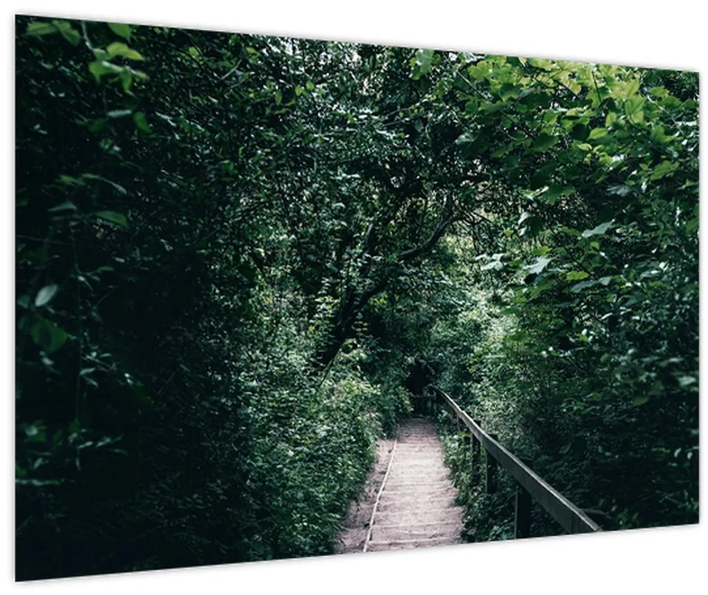 Tablou - Drumul prin pădure (90x60 cm)