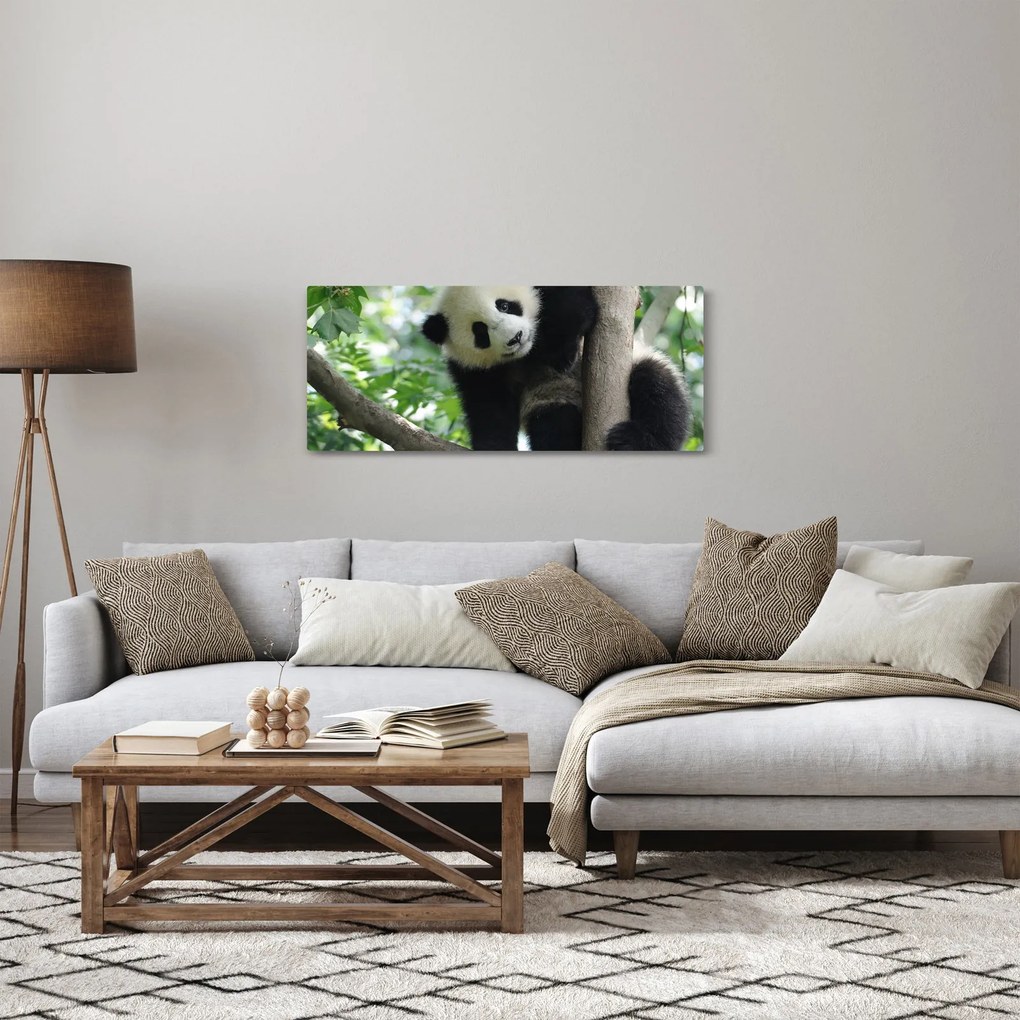 Tablou - Panda in copac (120x50 cm)