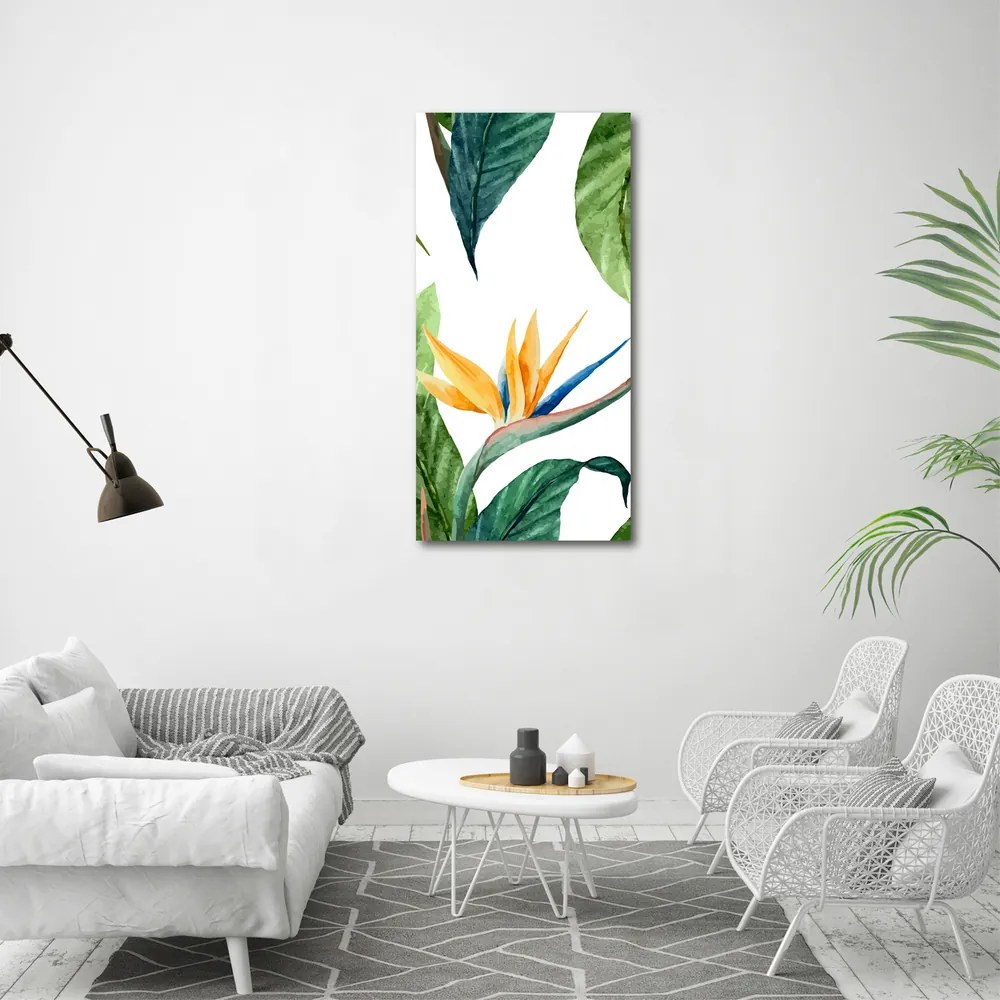 Tablou pe pe sticlă Strelitzia reginae