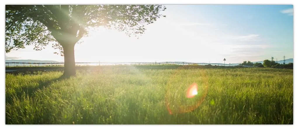 Tablou cu lunca în vară (120x50 cm)