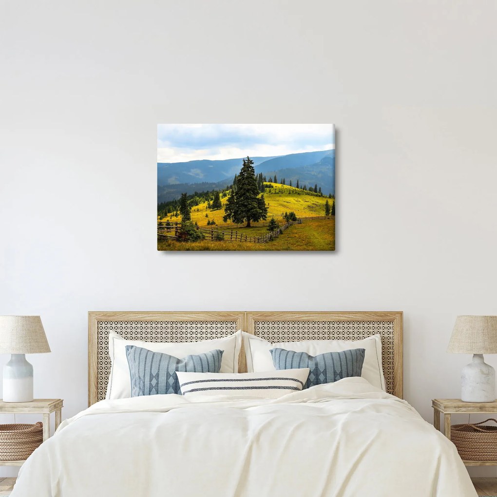 Tablou - Lunca de munte (70x50 cm)