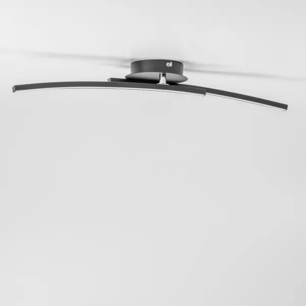 Plafonieră LED 2x6W/230V neagră