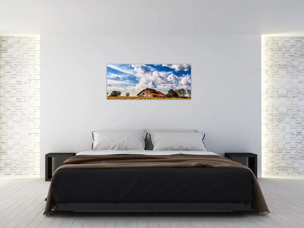 Tablou cu câmp de floarea soarelui (120x50 cm)