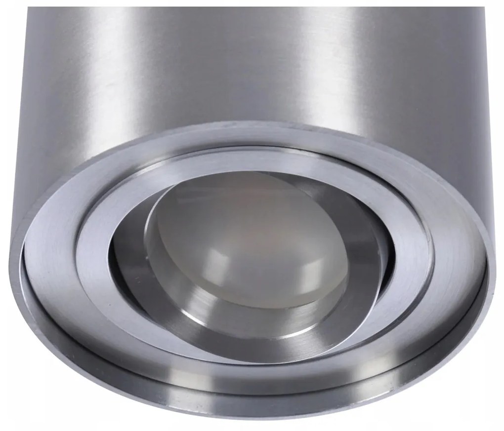 Spot aplicat tavan/plafon stil modern Bross 1 Aluminiu