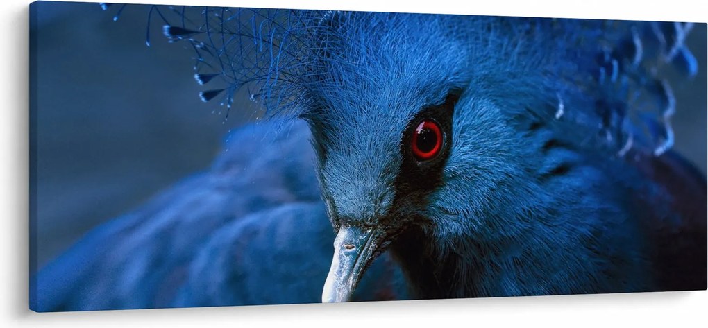 Tablou - Porumbel încoronat (120x50 cm)