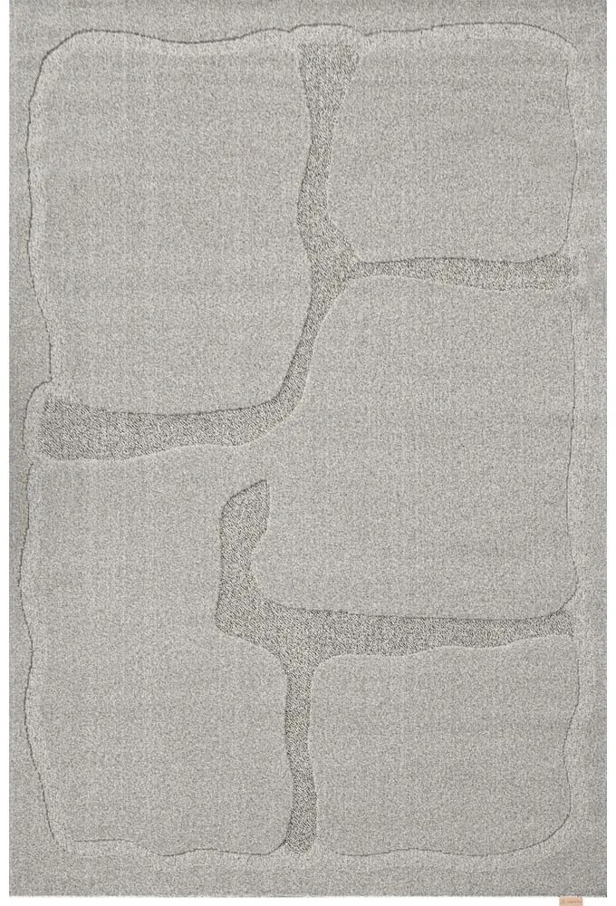 Covor gri din lână 200x300 cm Morphic Organica – Agnella