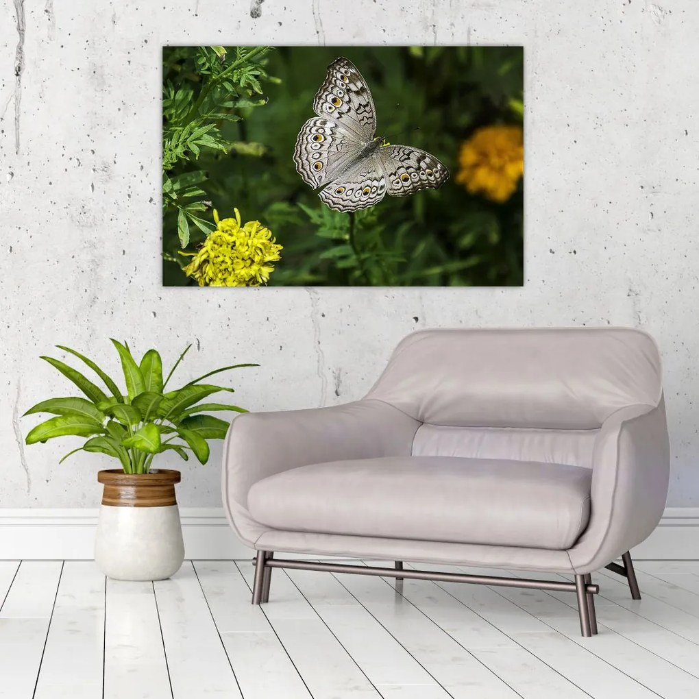 Tablou - fluture alb (90x60 cm)