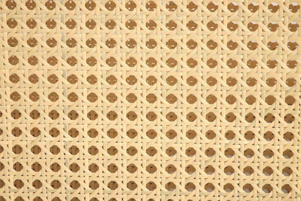 Fotoliu Ilario velvet/rattan - H77 cm