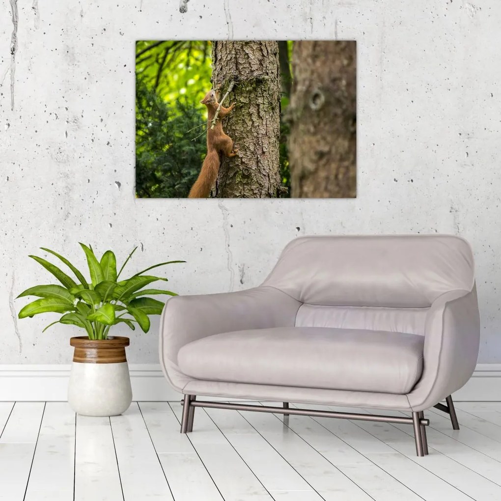Tablou - Veverița (70x50 cm)