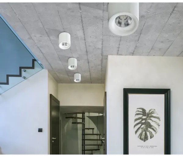 Azzardo AZ2845 - Plafonieră LED MANE, 10W, 230V