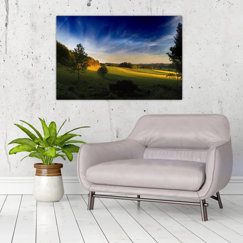 Tablou - Lunca de munte (90x60 cm)