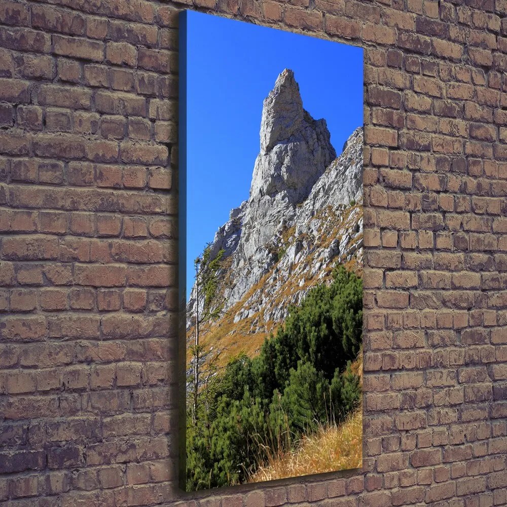 Pictură pe pânză Mici Giewont Tatra