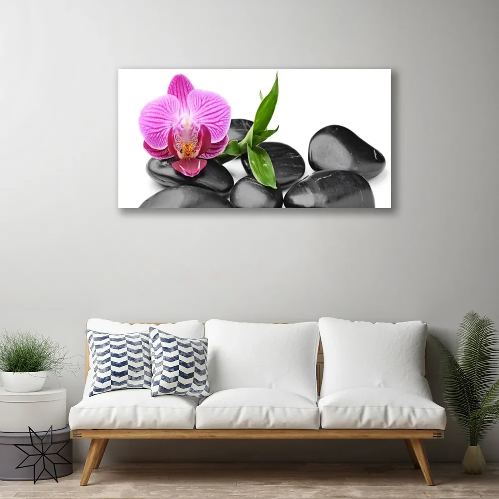 Tablou pe panza canvas Pietrele de flori Arta roz negru | BIANO