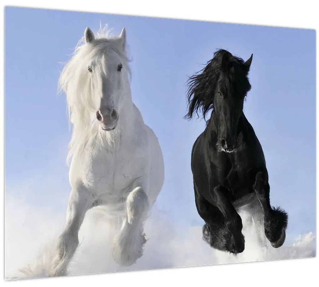 Tablou - Caii în timpul iernii (70x50 cm)