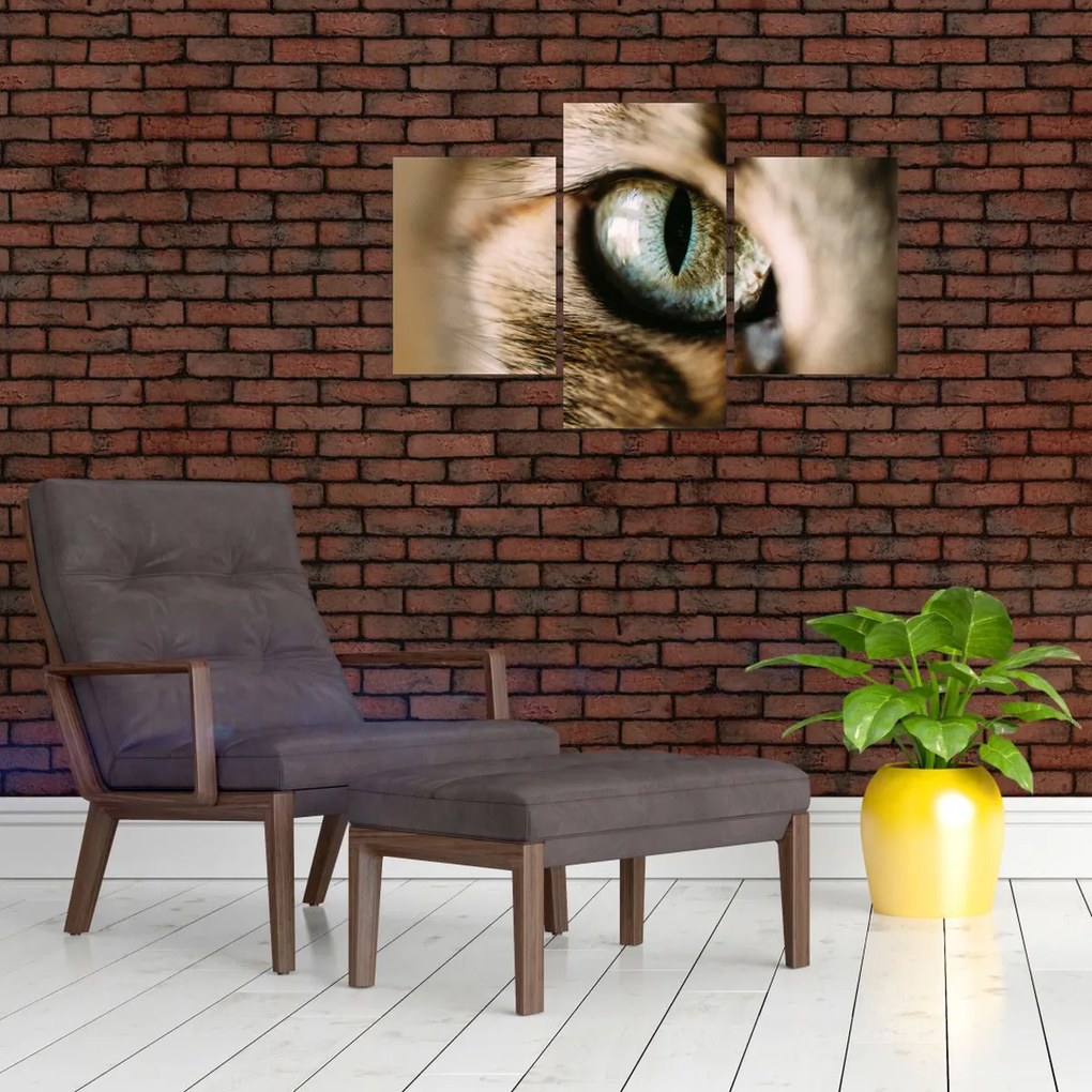 Tablou - Ochi de pisică (90x60 cm)