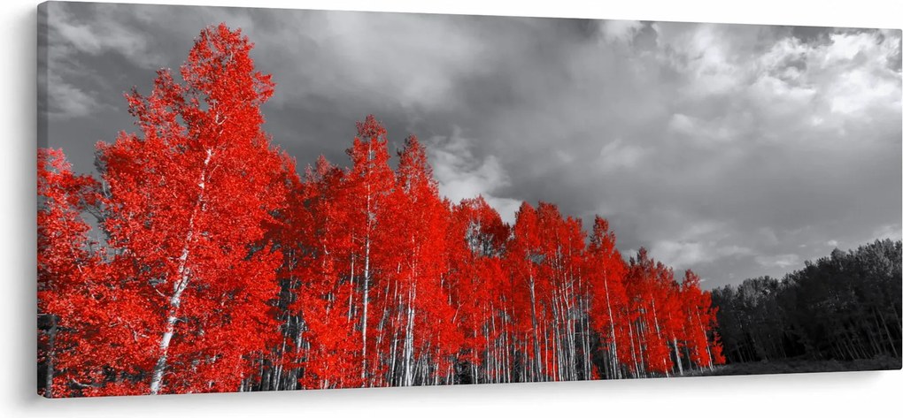 Tablou - Copaci în culorile toamnei (120x50 cm)