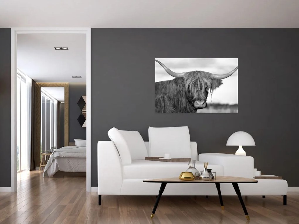 Tablou - Vacă scoțiană 2,alb-negru (90x60 cm)