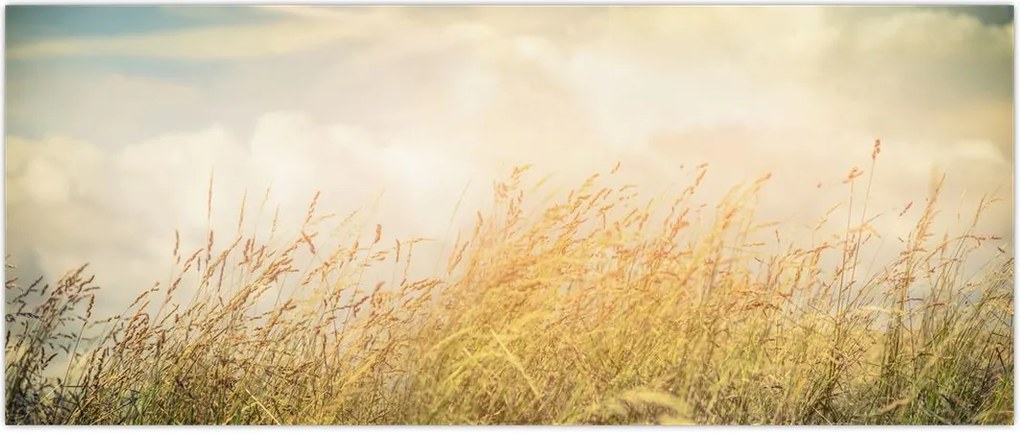 Tablou - Câmp toamna (120x50 cm)