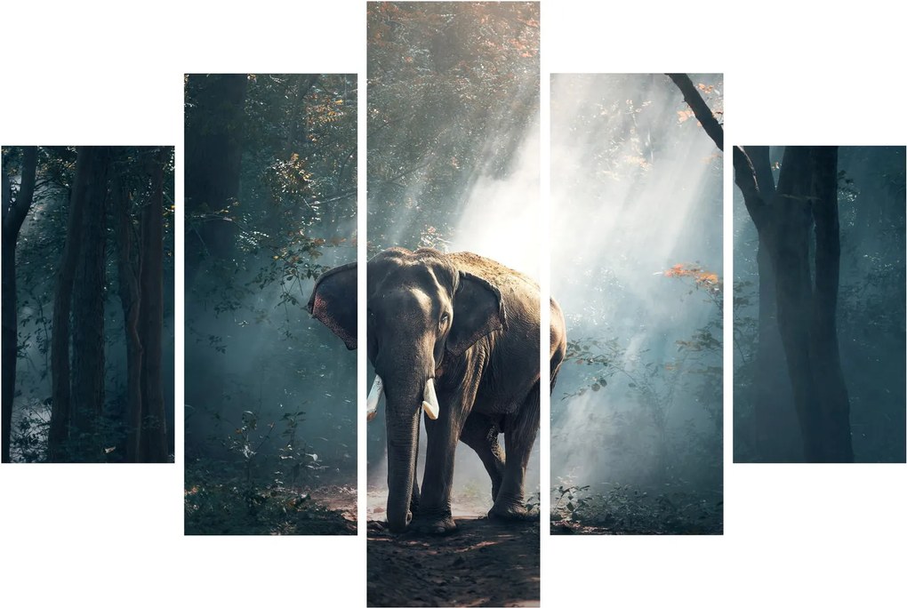 Tablou cu elefant în djunglă (150x105 cm)