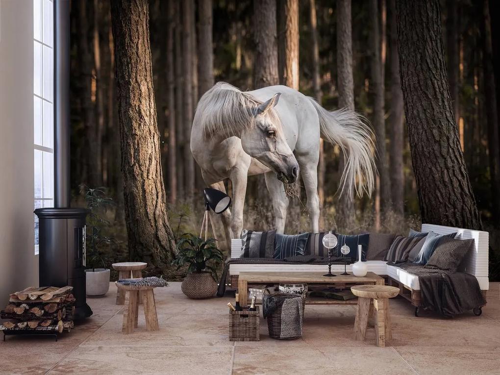 Fototapet - Calul alb în pădure (152,5x104 cm), în 8 de alte dimensiuni noi