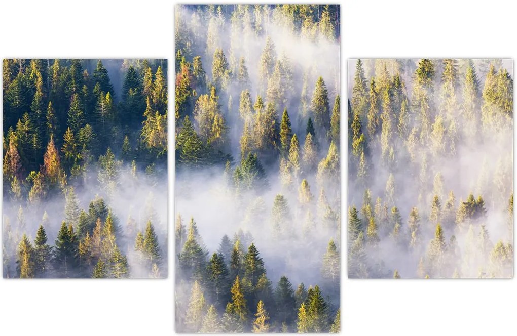 Tablou - Copac în ceață (90x60 cm)