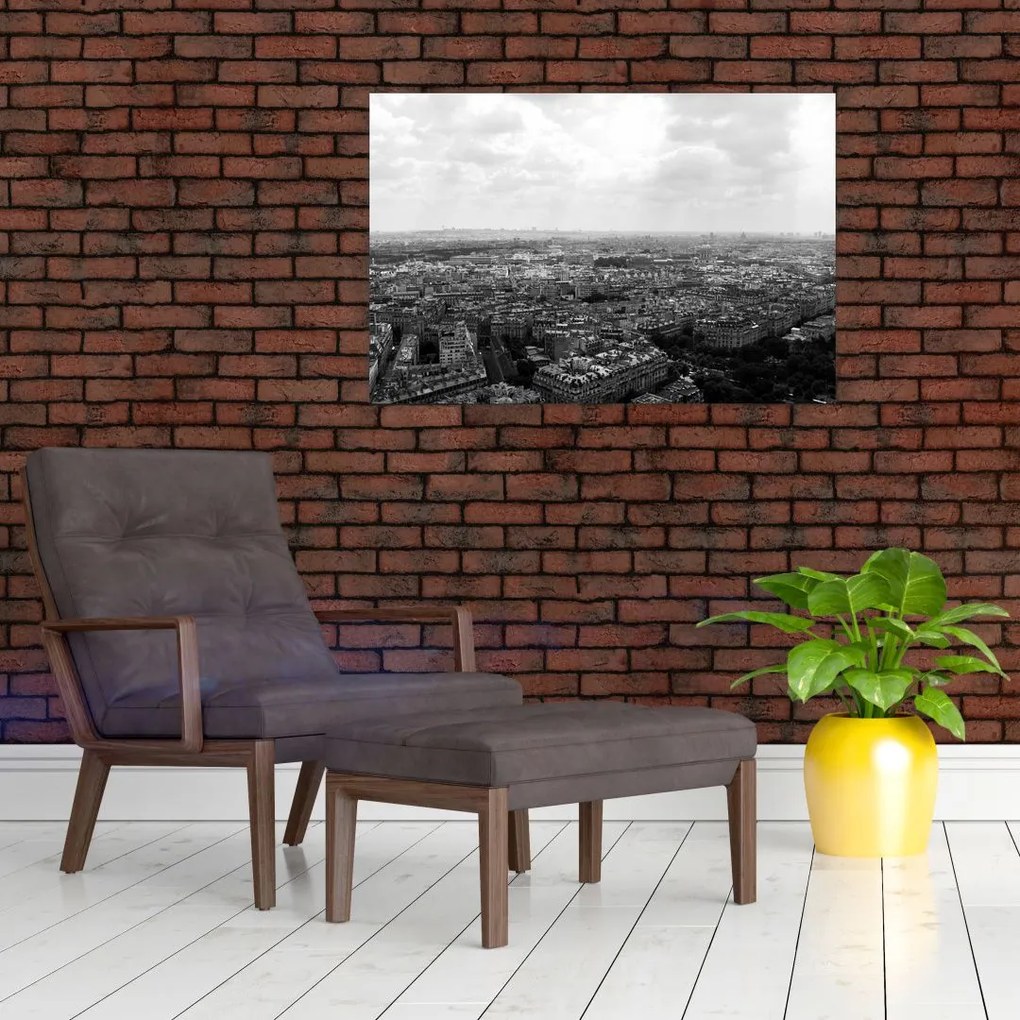 Tablou - Acoperișuri clădirilor din Paris (90x60 cm)