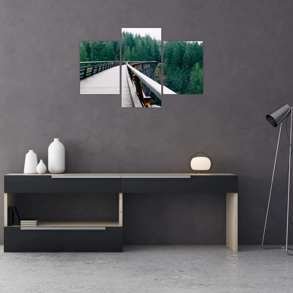Tablou - Pod spre vârfurile copacilor (90x60 cm)