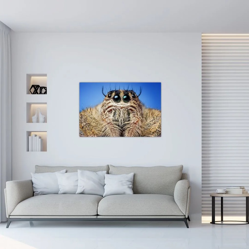 Tablou cu detalii a unui pâianjen (90x60 cm)