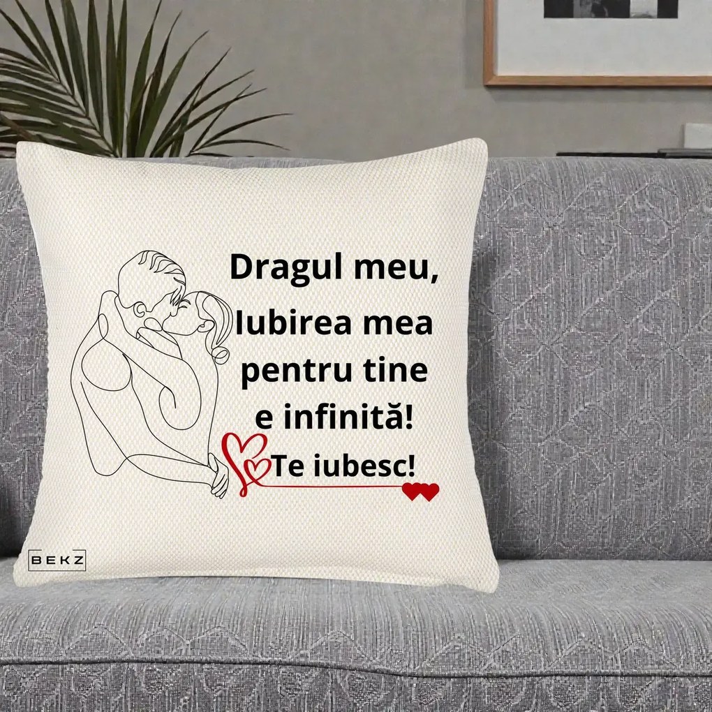 Cadou pentru Iubit - Perna Personalizata Dragul Meu Iubirea Mea pentru Tine e Infinita Te Iubesc, 40x40 cm, Crem Reliefat, Husa Detasabila, Perna Inclusa, BEKZ®
