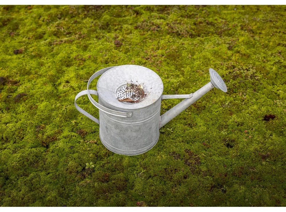 Stropitoare din metal 8 l – Esschert Design