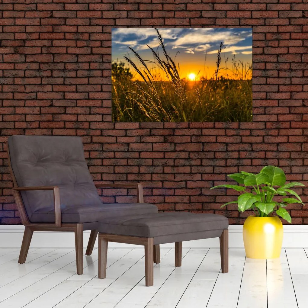 Tablou cu câmp în apus de soare (90x60 cm)
