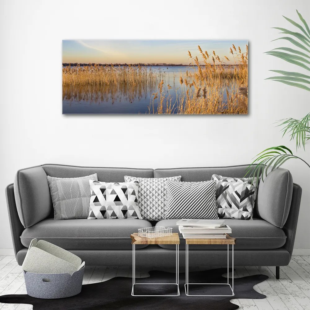 Print pe canvas Apă stuf