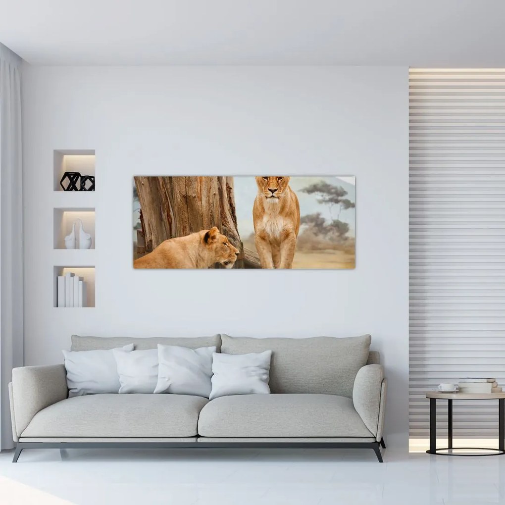 Tablou - două leoaice (120x50 cm)