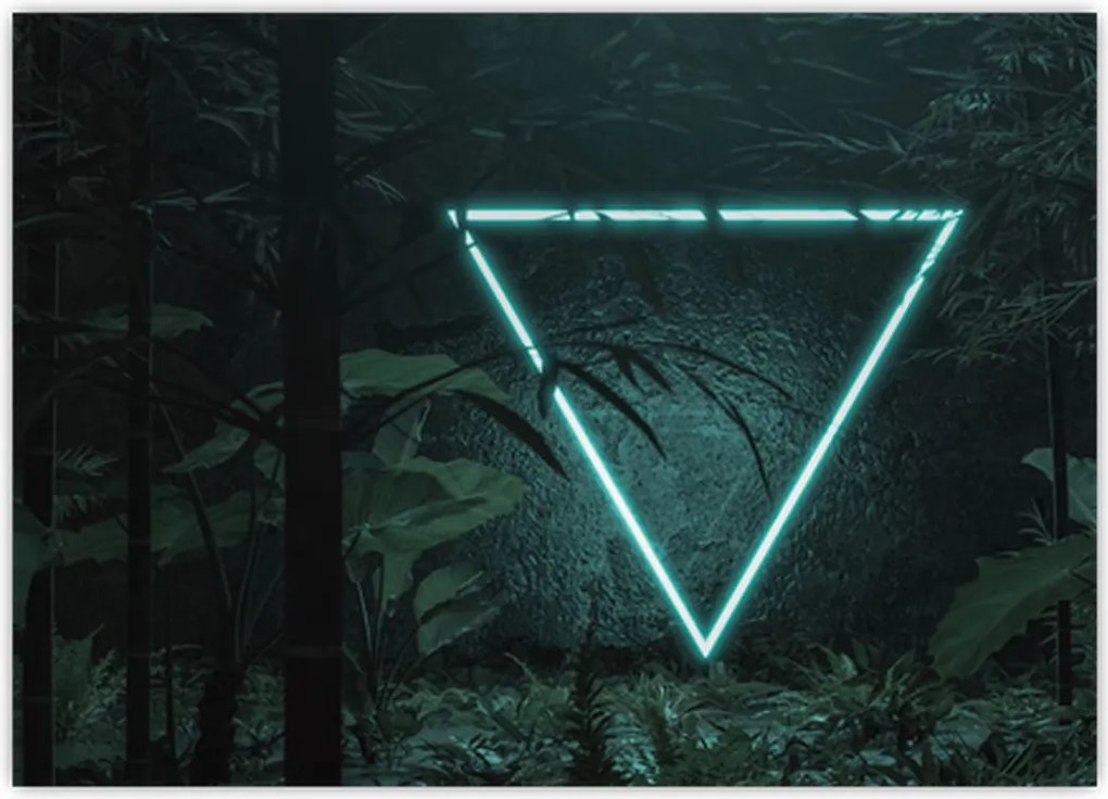 Tablou - Triunghi de neon în junglă (70x50 cm)