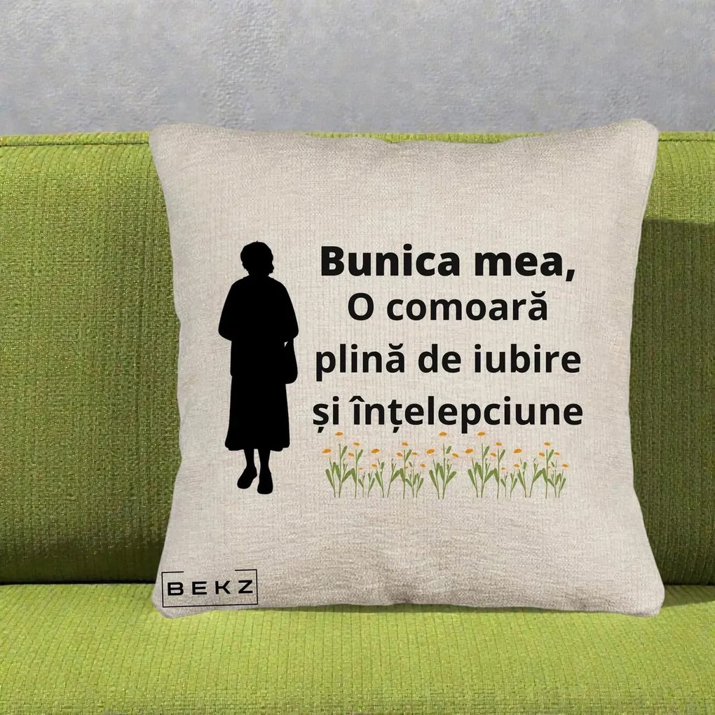 Cadou pentru Bunica - Perna Personalizata Bunica Mea Comoara Iubire Intelepciune Silueta cu Nepoata, 40x40 cm, Bej Canapea, Husa Detasabila, Perna Inclusa, BEKZ®