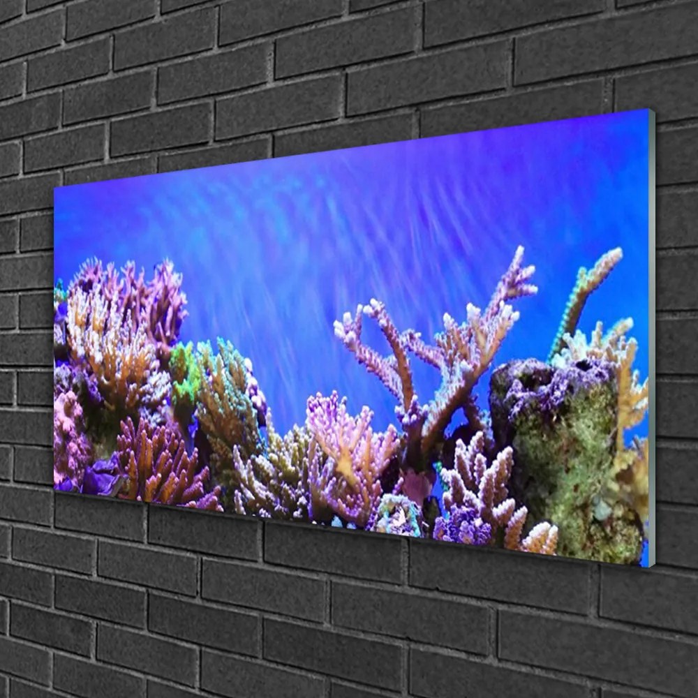 Tablouri acrilice Coral Reef Natura Multi