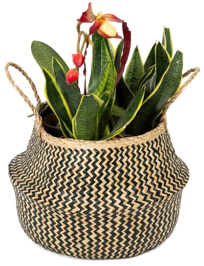 Coș depozitare din iarbă de mare Compactor Zic Zac, ⌀ 35 cm