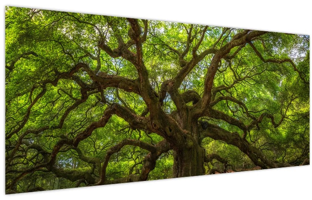 Tablou - Copac verde (120x50 cm)