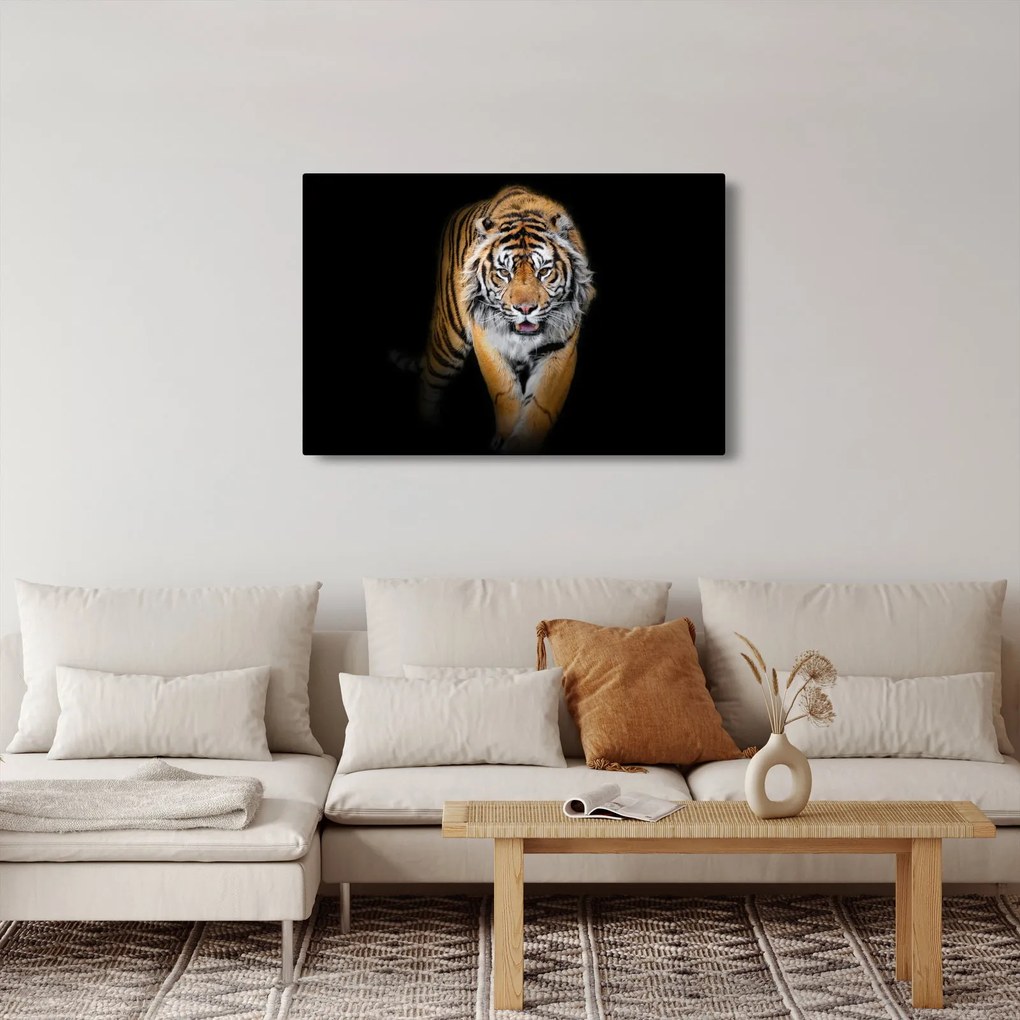Tablou - Tiger (90x60 cm)
