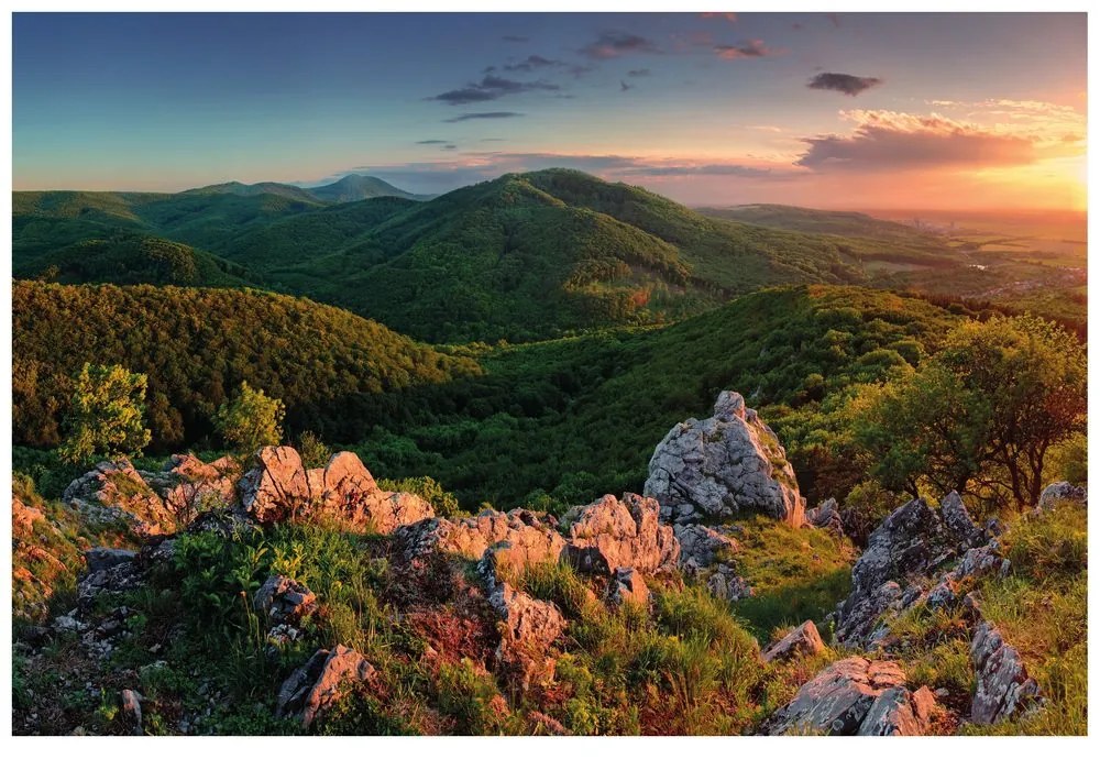 Fototapet natura scăldată în soare