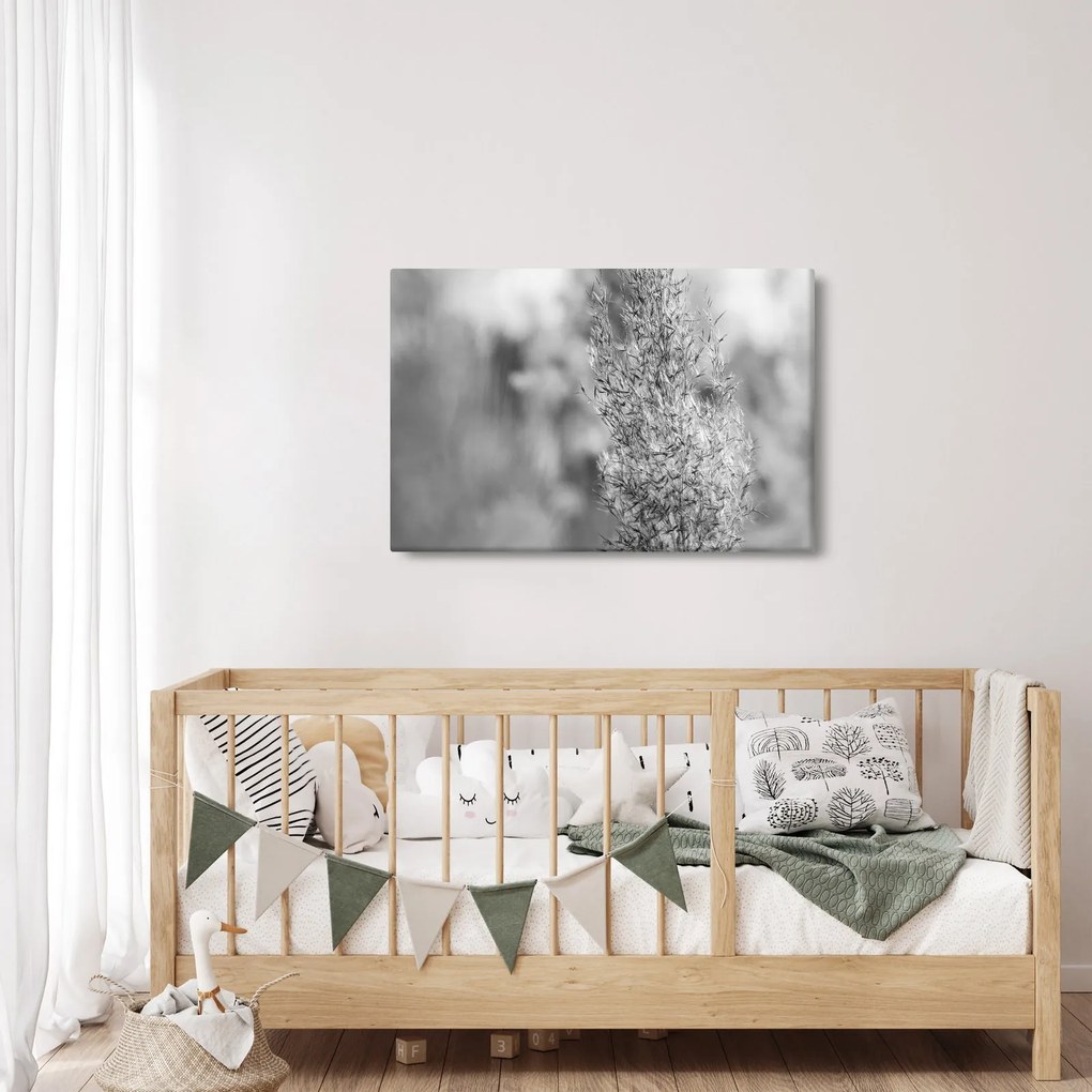 Tablou - Iarbă de pampas Boho (90x60 cm)