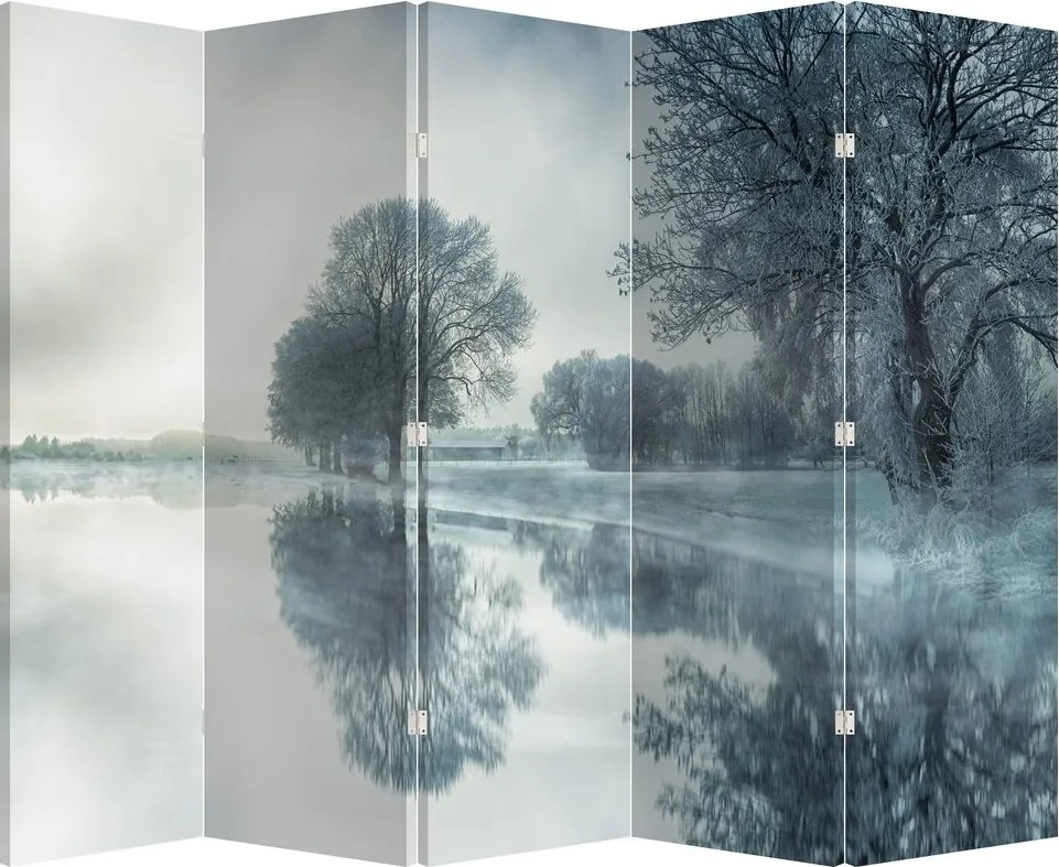 Paravan - Natura iarna (210x170 cm)