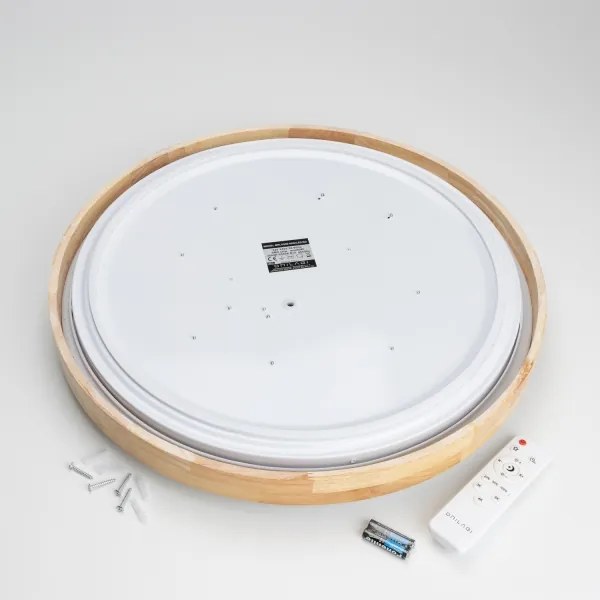 Brilagi - Plafonieră LED dimabilă PINE LED/60W/230V + telecomandă