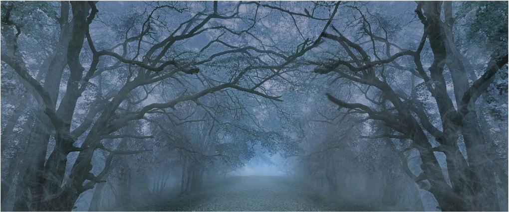 Tablou - Pădurea în ceață (120x50 cm)
