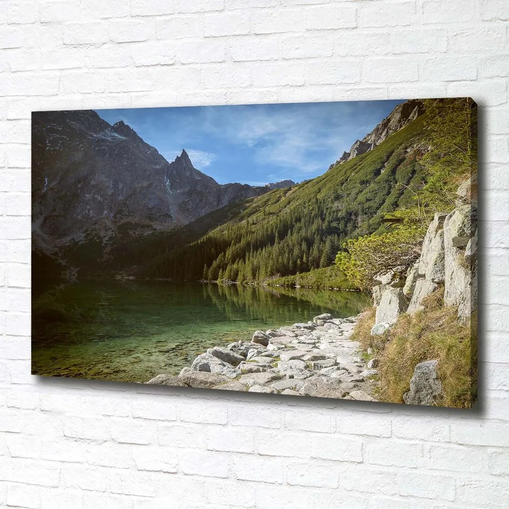 Pictură pe pânză Marine ochi tatry