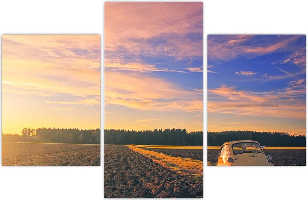 Tablou - Mașină galbenă ăn câmp (90x60 cm)