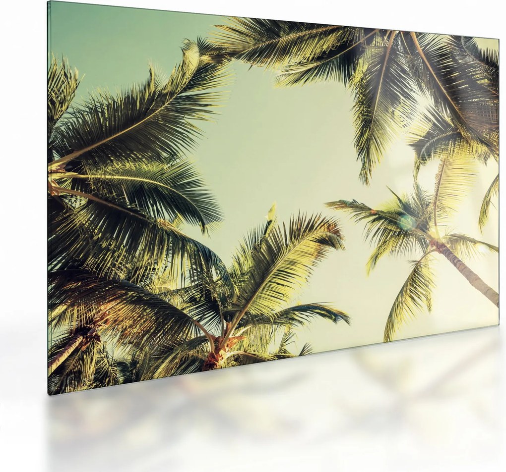 Tablou pe sticlă - Palmieri de cocos (70x50 cm)