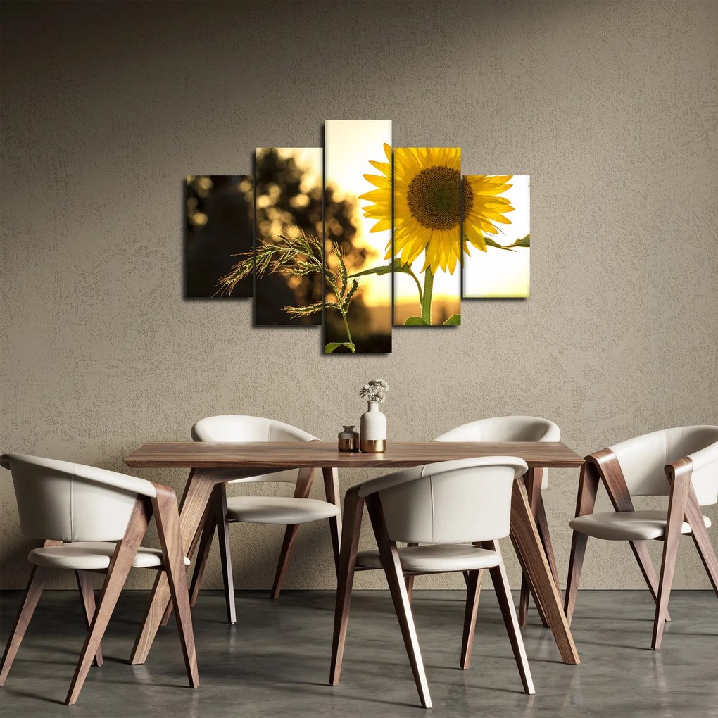 Tablou cu floarea soarelui (150x105 cm)
