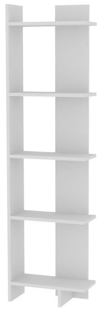 Biblioteca Als White