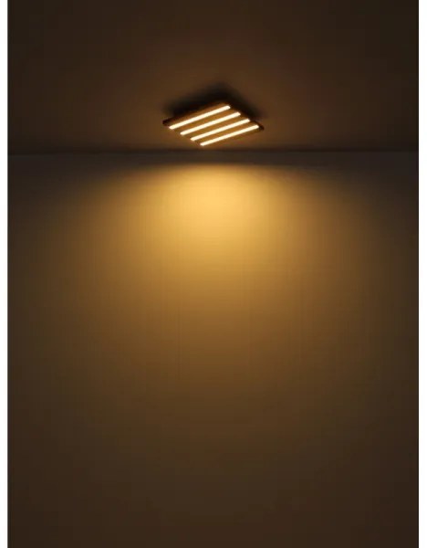 Globo HAYDEN 67347D4 - Plafonieră LED, 30W, 230V, 3000K, 80 x 20 cm